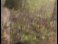 Соблазнил кузину на прогулке